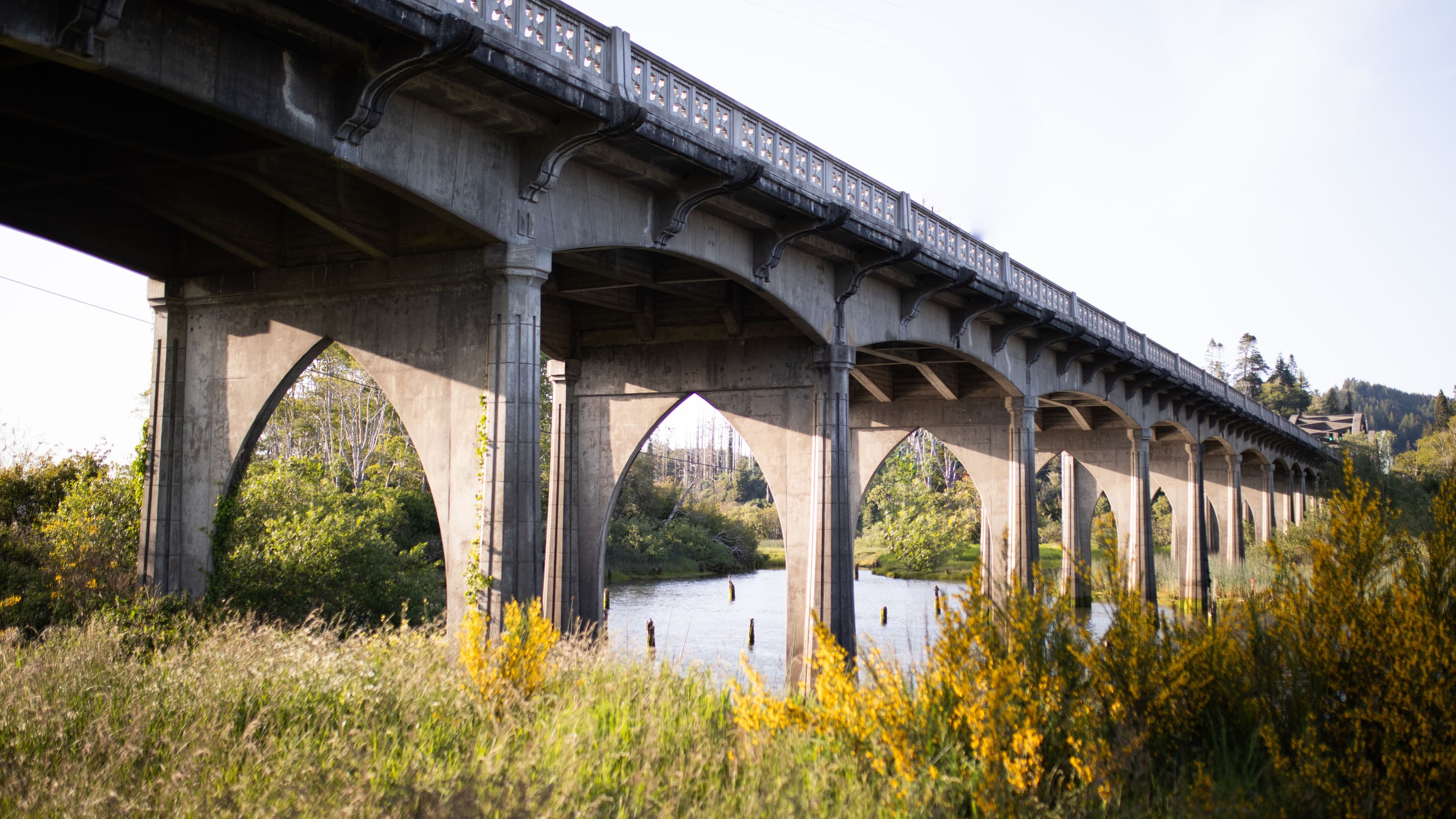 Guide to moving to Reedsport
